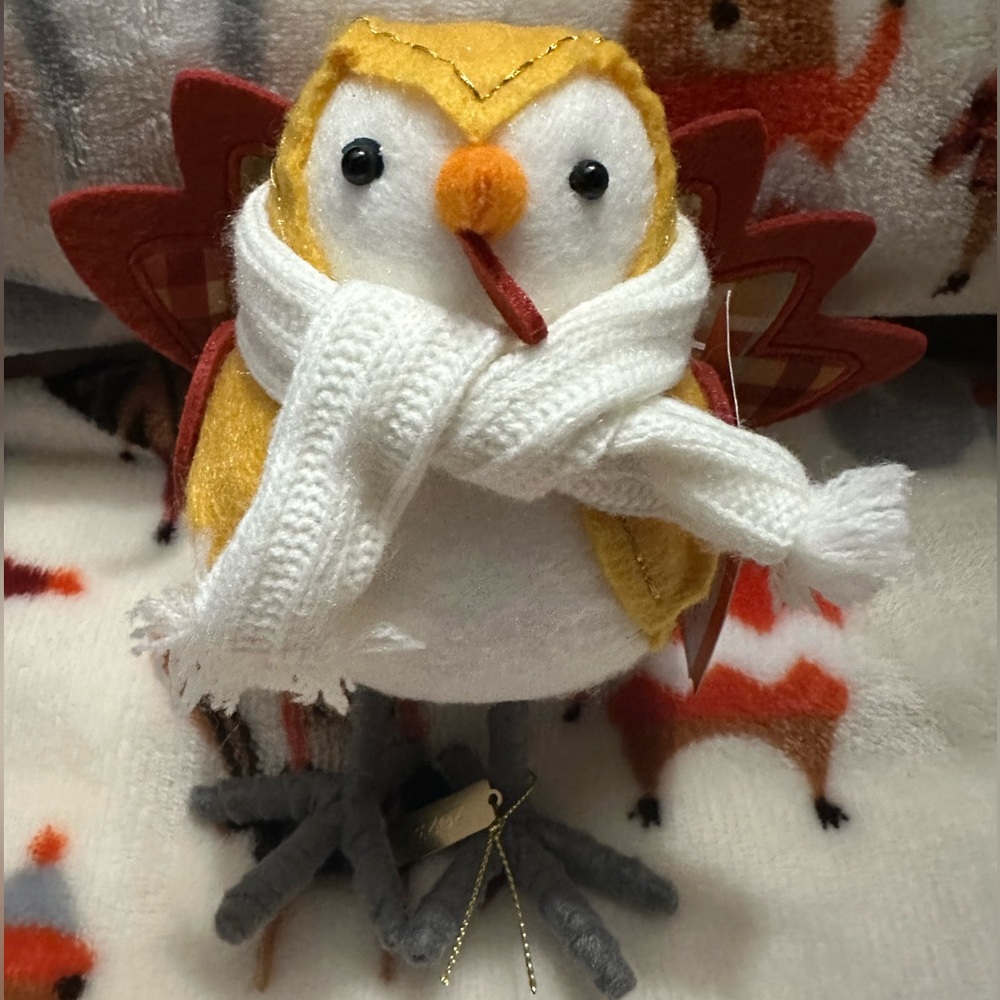 Coco - Target bird